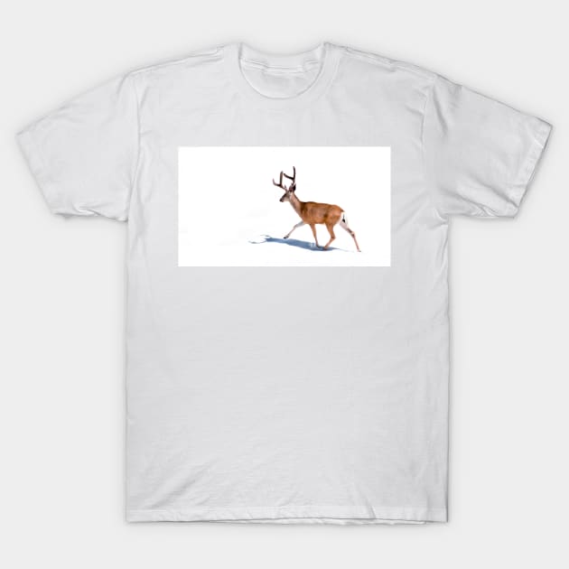 Minimalistic design T-Shirt by GenesisClothing